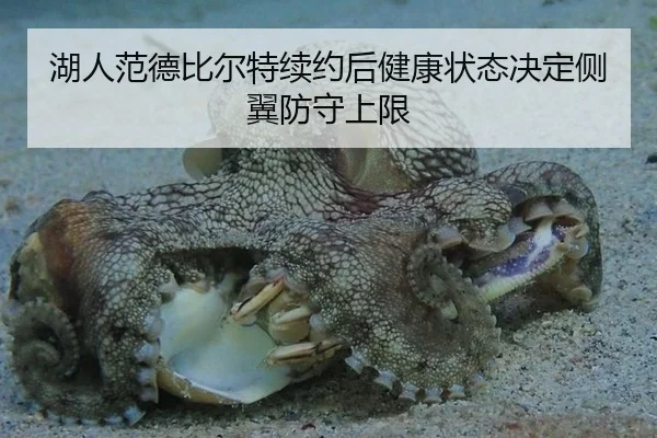 湖人范德比尔特续约后健康状态决定侧翼防守上限